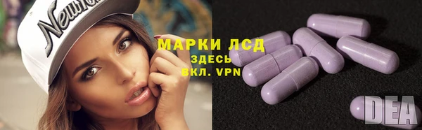 эйфоретик Абинск