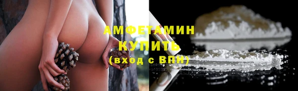 дживик Абаза