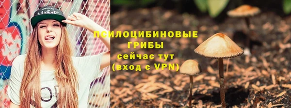 эйфоретик Абинск